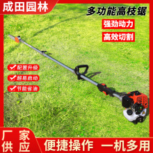 ��֦������Ͷ��ě_���L�U��֦�朗l��ľ䏸߿ռ���֦��������l