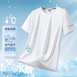 �羳���l�羳���l��������������ļ����z����͸����z�����\�ӽ�