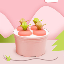 辉煌盆栽圆形4格冰模萝卜六格冰模植物造型冰棒塑料DIY雪糕模具