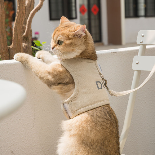 Cat and dog traction rope, four-season mesh breathable vest-style anti-breakaway pet harness, dog walking rope, cat rope chain