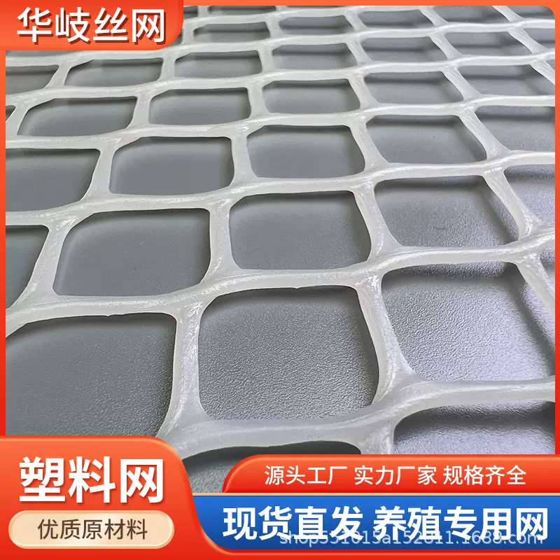 厂家直销养蜂防护育雏小孔养鸡鸭漏粪网胶网透气地垫网新料塑料网