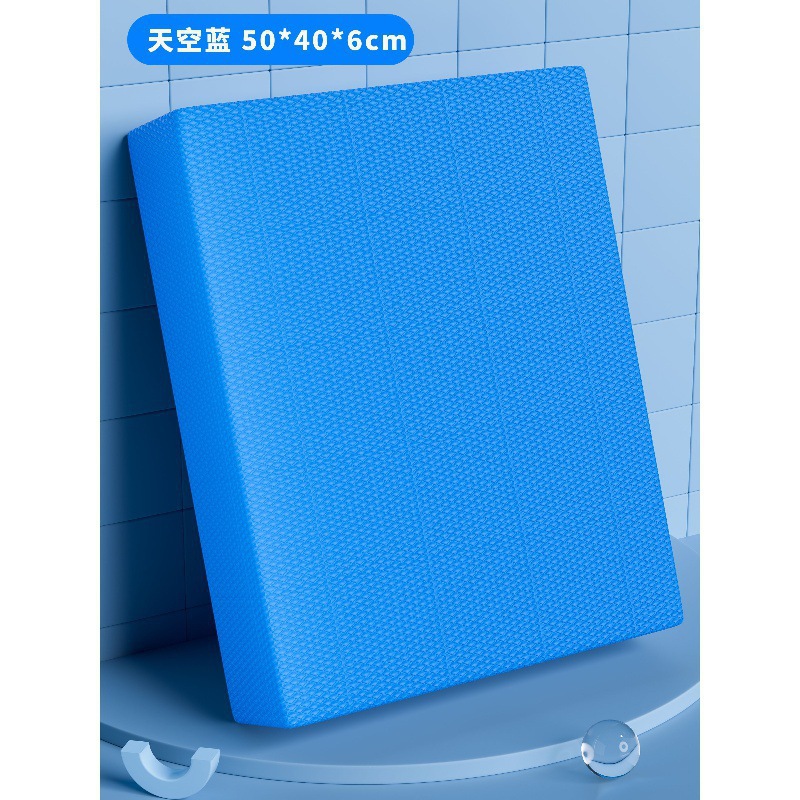 블루-라지 [50*40*6cm]