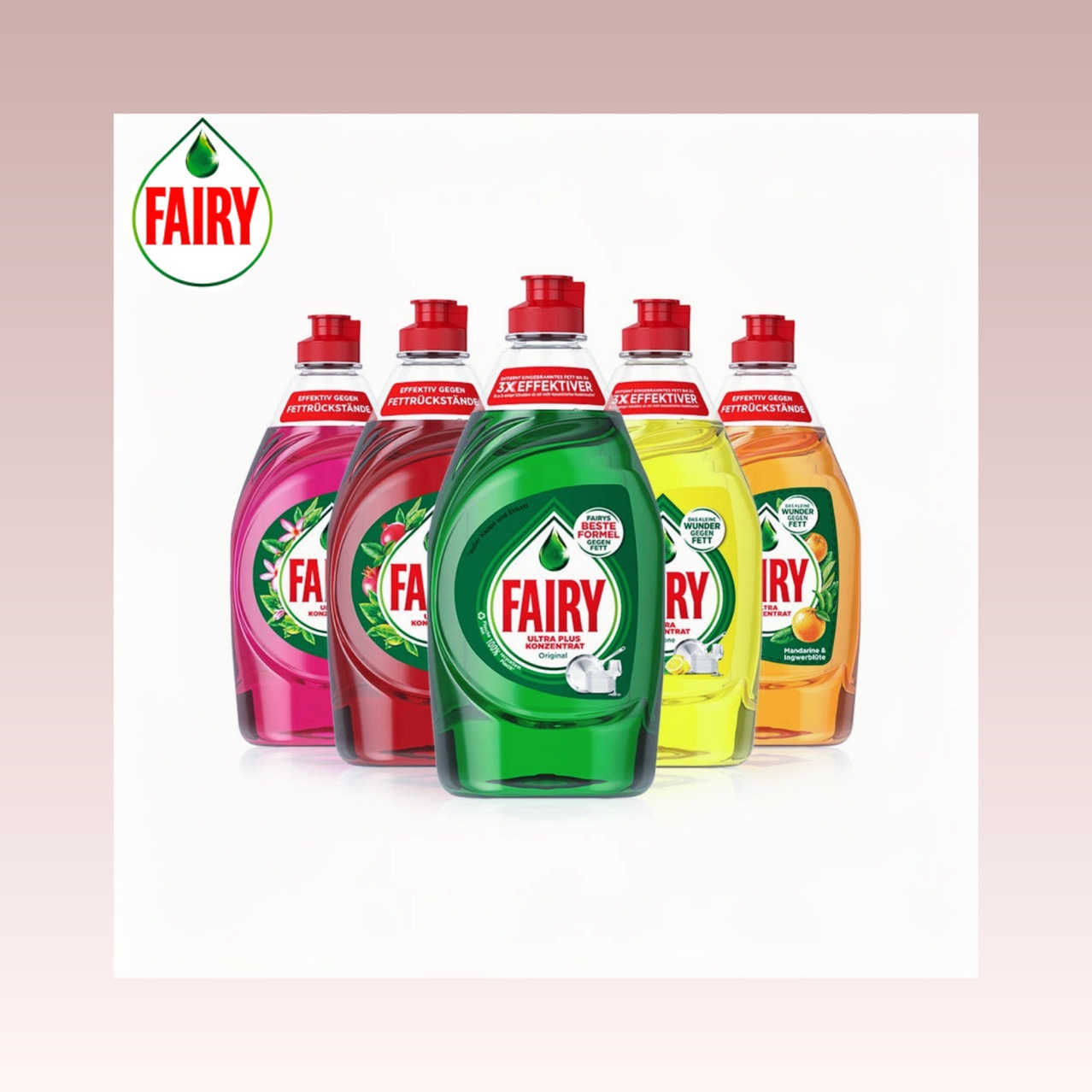 Import concentrated tableware for fruits and vegetables