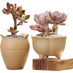 動物陶盆陶罐多肉植物陶瓷花盆新款簡約磨砂粗陶復古盆栽大中小號