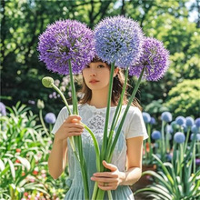 ���[�N�����Դ�ʹ����h��������m�M�������ͺ�����ֲ��N�ӻ�