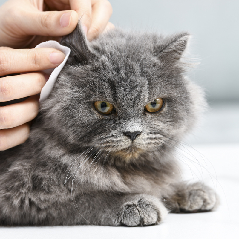 Toallitas húmedas para ojos y orejas para gatos y perros, toallitas para ojos para mascotas universales, productos de limpieza para ojos, 200 piezas de toallitas húmedas enlatadas