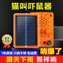 ]2025¿̫rZ}÷؈؈