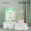 Lele Brothers 1504-03
