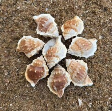 ��������Ȼ����ؐ����ˇƷ�����ݼľ�з��Q�� �����diy��̨�쾰