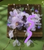 Light purple one (AA1347)