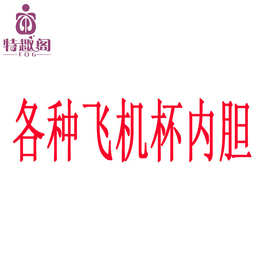 特趣阁 各种飞机杯专用内胆 胶条 可更换 老客户专拍