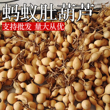 天然葫芦文玩蚂蚁肚手把特小件盘玩手捻随身挂件厂家直发摆件家居