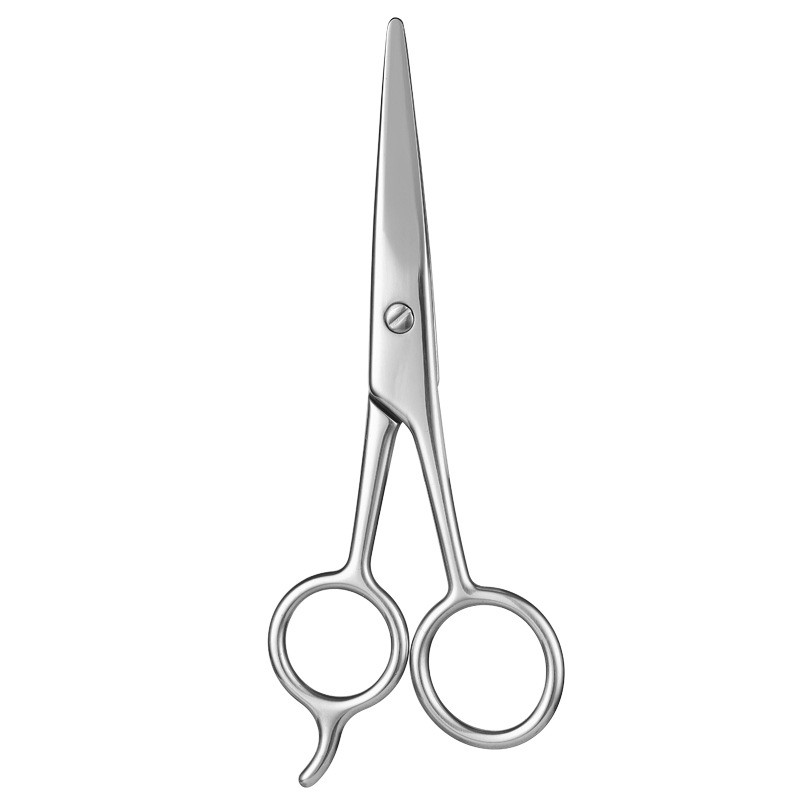 Ciseaux de toilettage pour animaux de compagnie en acier inoxydable, pour barbe et poils de nez ; entièrement en acier, tranchants et durables ; ciseaux de beauté et de coiffure._voghion.com