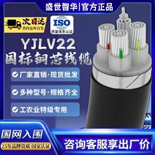 YJLV22铝芯铠装1/2/3/4/5/3+1/3+2/4+1芯150/300平方铝芯电线电缆