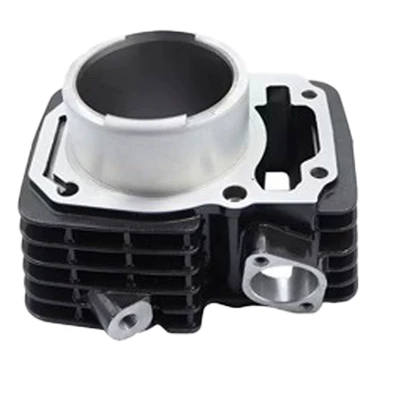Cylinder and parts Hunk190R Xpulse 200t 200X