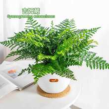 ��ķާ���ԾW�tާ�ֲ���k���ҾGֲ�҃ȚW��ާƽ��ާ��ʯާ�F��ާ