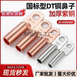 Dt Copper Nose Terminal Wire Copper Wire Nose Tinned Oil-Blocking Copper Connector 25/35/50 Square Copper Wire Ear