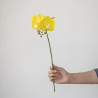 4 желтого цвета