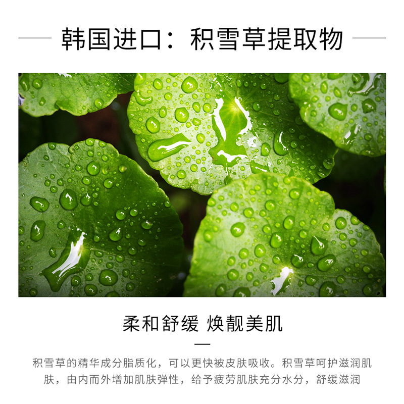 Yixiangyuan Centainaceae Aloe Vera Gel Hidratante Hidratante e Hidratante Cuidado de la Piel Mejorando el Acné Crema Esponjo Gel de Aloe Vera al por mayor