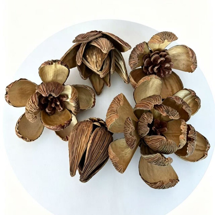 Oil painting series, dried plant flowers, oil painting of lotus, oil painting of fruit, bulk supply Oil painting series, dried plant flowers, oil painting of lotus, oil painting of fruit, bulk supply
