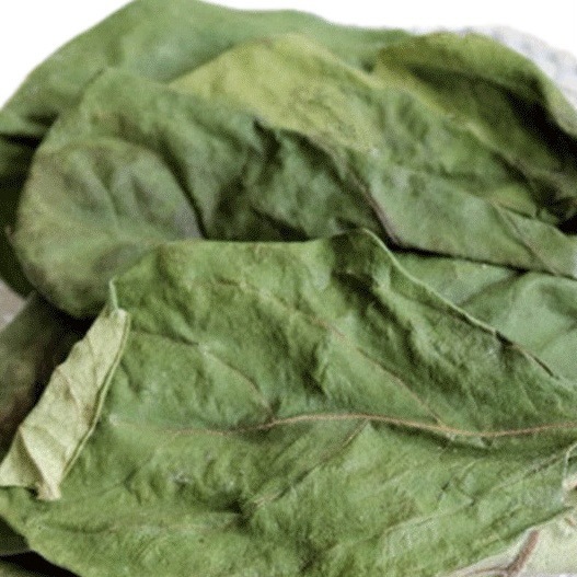 Dried Persimmon Leaves Shi Ye 500g Natural Whole Leaf Herbal Tea Material specifications