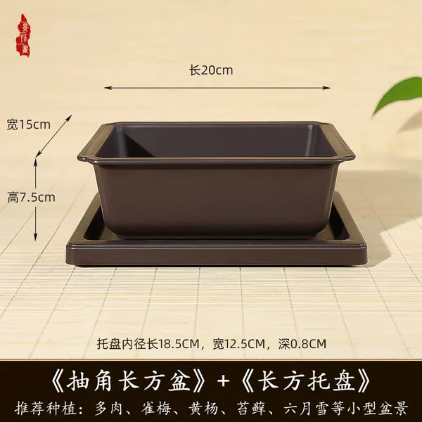 Rosewood, rectangular, 20cm, 15cm, 7.5cm