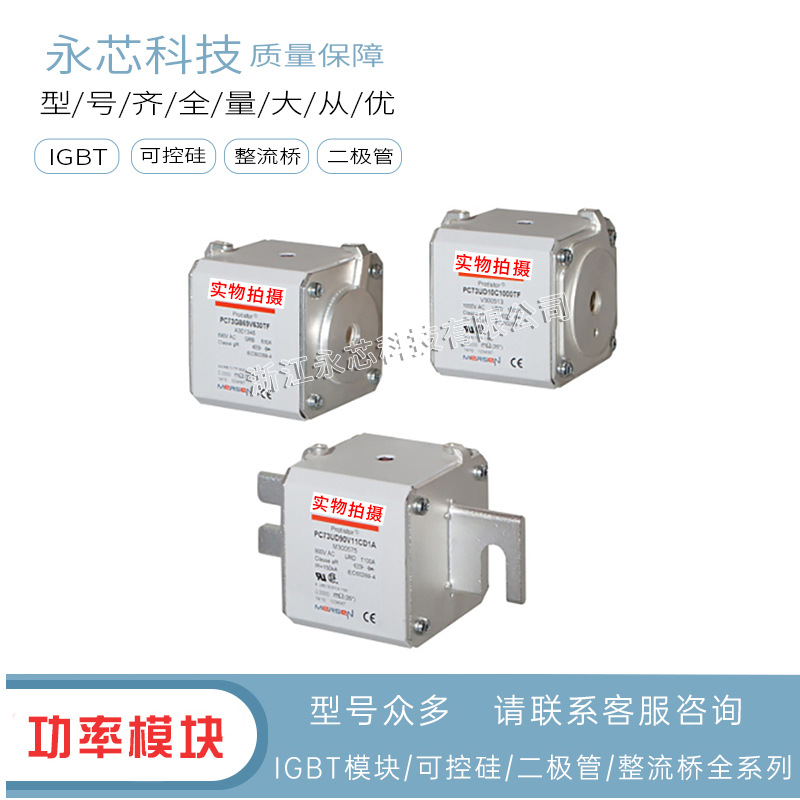 供应FR22UD69V80   FR22UD69V100原装现货快速熔断器 品质保证
