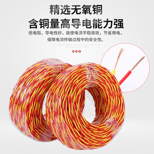 RVSԴ~2о0.75 1.5 2.5ƽpg|̌