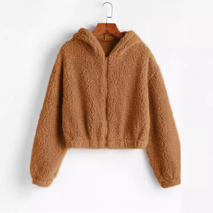 AliExpress Amazon explosions 2020 Autumn and Winter new solid color hooded long sleeve Teddy Plush sweater short spot