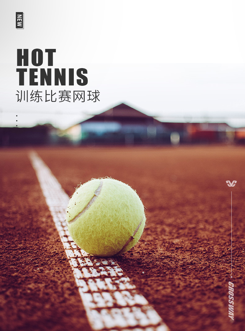 网球详情_01