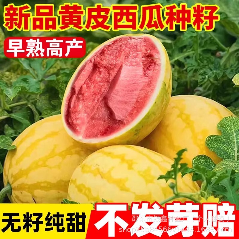 Yellow Beauty Watermelon Seeds Yellow Skin Red Flesh Watermelon Seeds Original Fruit Seeds Four Seasons Vegetable Seeds Collection