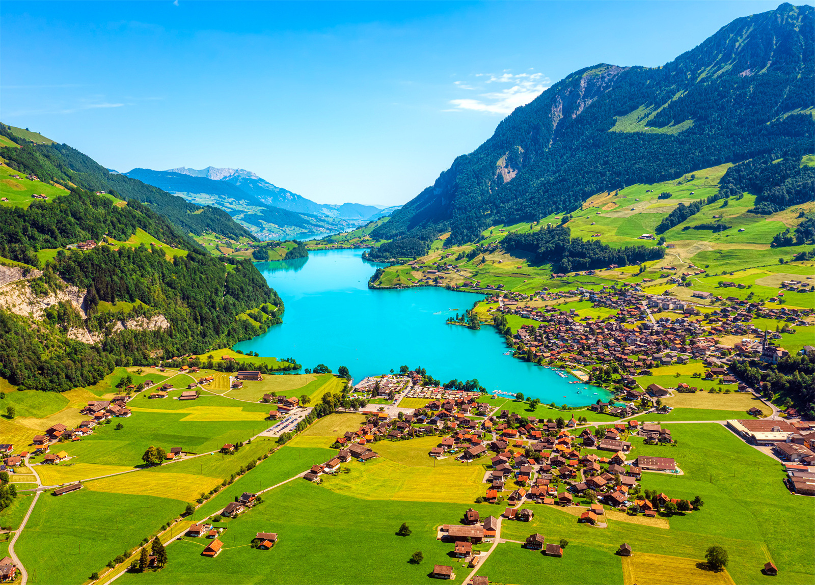 GSSQ0100-버드뷰 드래곤샷 1000정