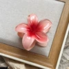 6# Персиково‑розовый цветок