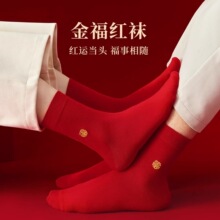 ���޼tɫ�m��Ů�����꼃����Ͳ�m��ʿ���֌��R��Y����H�»�Y��