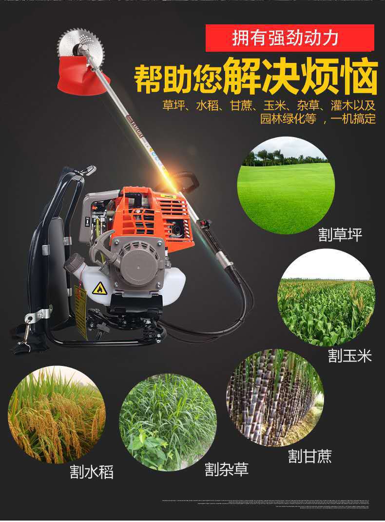 详情图片_05.jpg