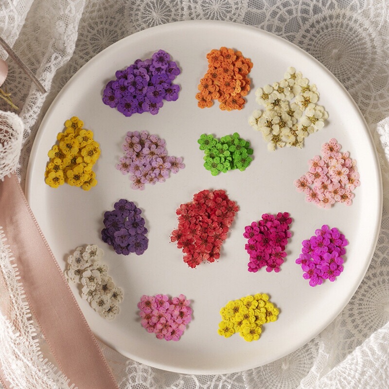 Japanese and Korean Manicure Dried Flowers 12 Colorfuls Snow Beads Lace Daisy Narcissus Nail Stickers Colorfulful Flower Nail Art Accessories