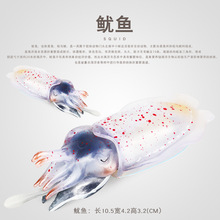 �羳���溣�����ﺣ�����~����ֱ��ʯ�����\ģ����߶Y��羳���N