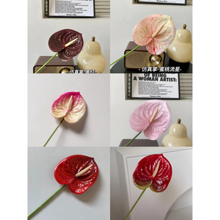 �ָ�3D�t�ƻ��Z�Ʒ��滨ֲ���c���Ļ�Y�bٻ��廨diy����Ͱ