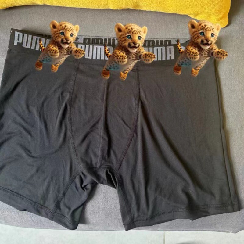 genuine goods foreign trade P horse men's quick-drying underwear boxer shorts boxer shorts underpants sports big elastic