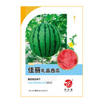 礼品小西瓜粒尔田佳丽吊蔓西瓜种子皮薄瓤红甜度高早春大棚用种