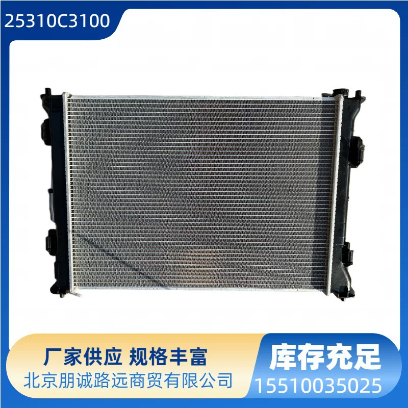 25310C3100 25310-C3100