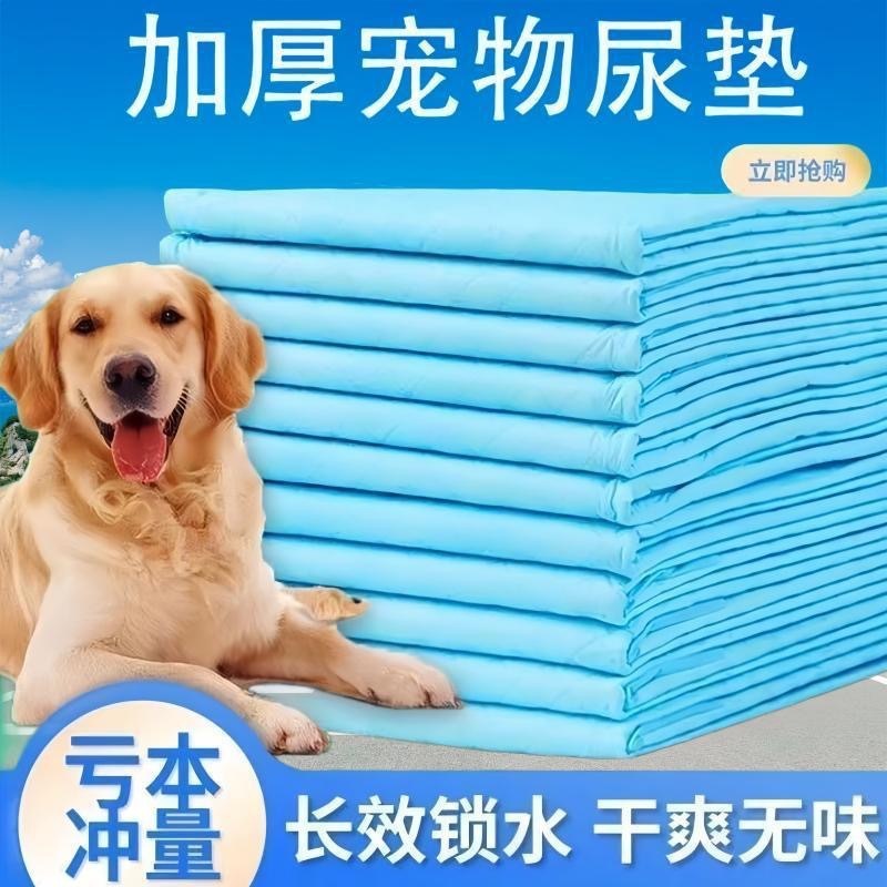 狗狗尿垫宠物狗狗用品猫咪训导尿垫泰迪尿不湿兔子仓鼠隔尿垫厂家|undefined
