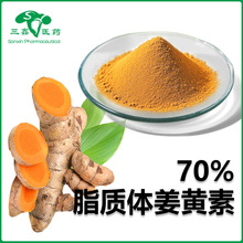 脂质体姜黄素60% 姜黄提取物酸性黄脂质体姜黄色素颗粒36062-04-1