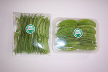 【专业生产】蟹味菇金针菇包装 双面防雾膜（OPP特殊膜）