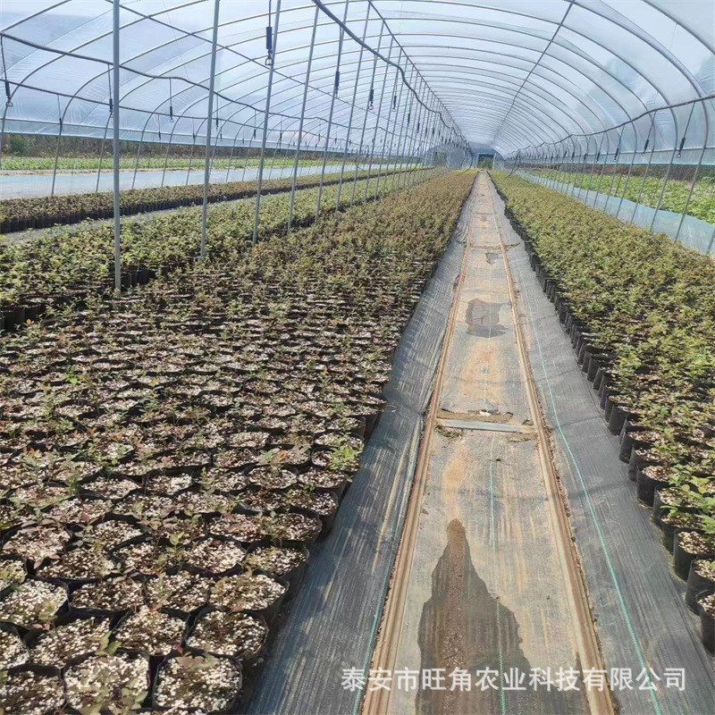 f257fbde004a35767af04d626fa484