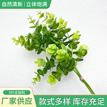 ����Gֲ 5�~�ȼ������� 5�~�ȼ�������ֲ��Gֲ�bF؛���l