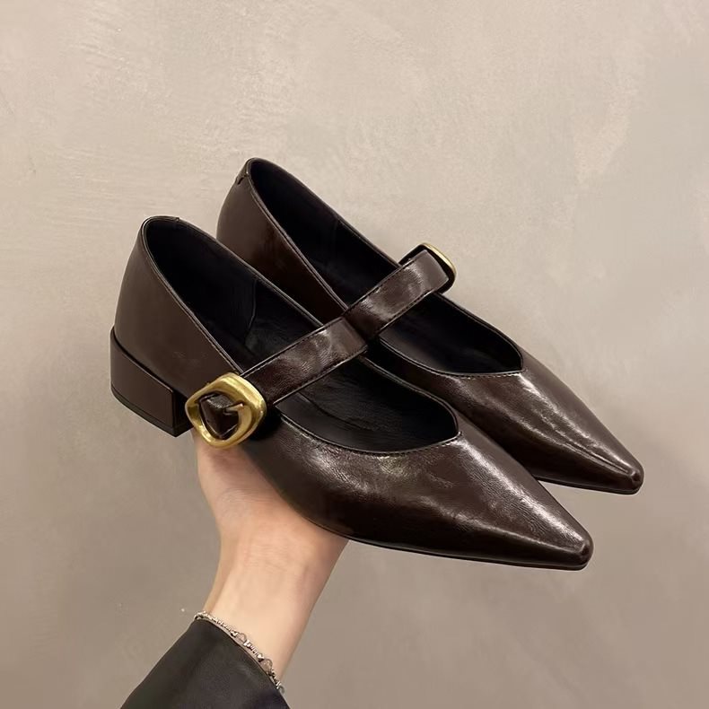 New Soft Leather French-style Soft-soled Elegant Low-heel 2025 Mary Jane Women's Shoes With Pointed Toe And Chunky Heel,_vogvips.com