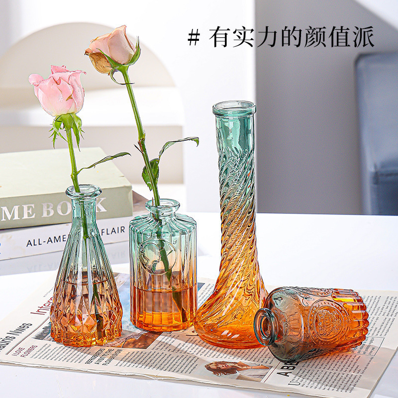 Relieve simple creativo vasijo de vidrio transparente conjunto de flores hidropónicas flores acuáticas plantas decoración de sala de estar vasijo