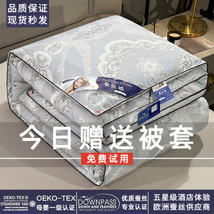 蚕丝被100桑蚕丝春秋被子冬被棉被加厚空调被被芯夏凉被单人