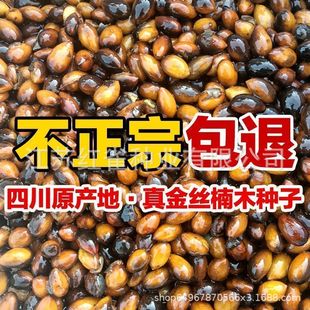 �²����ڽ�z�ľ��N���Ĵ�С�~骷N�Ӽ��~��z��јE���骷N��